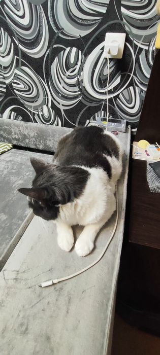 Продам диван 150.000