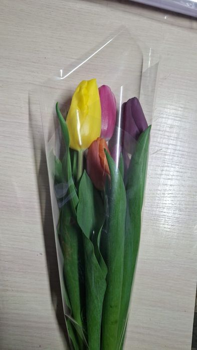 Тюльпаны на 8 марта