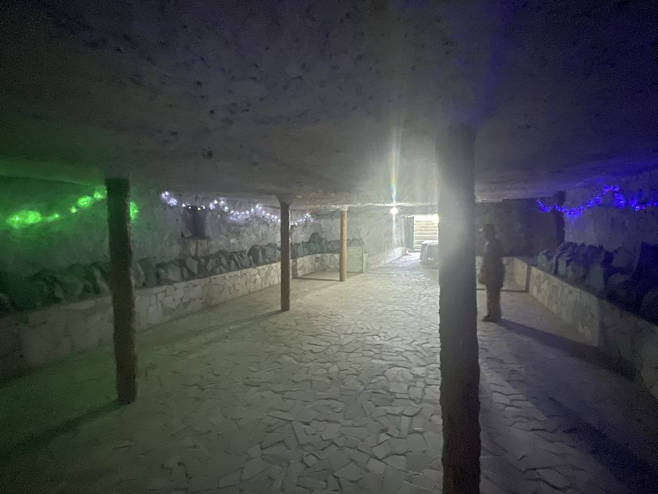 Navoi dacha sotiladi