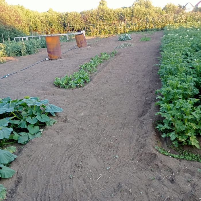 Продам дачу на союзе