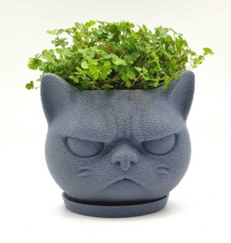 Стильные решения и современные формы для домашних растений и цветов