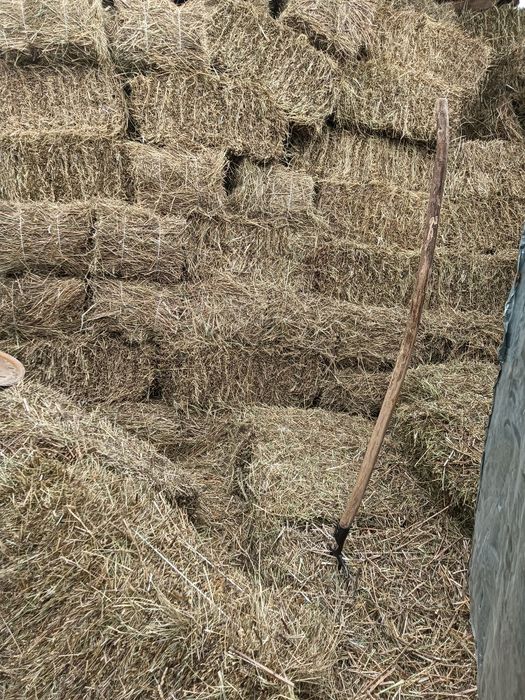 Продам сено горное тюки
