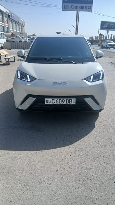 Byd seagul  сотилади