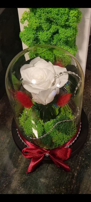 Trandafiri criogenați