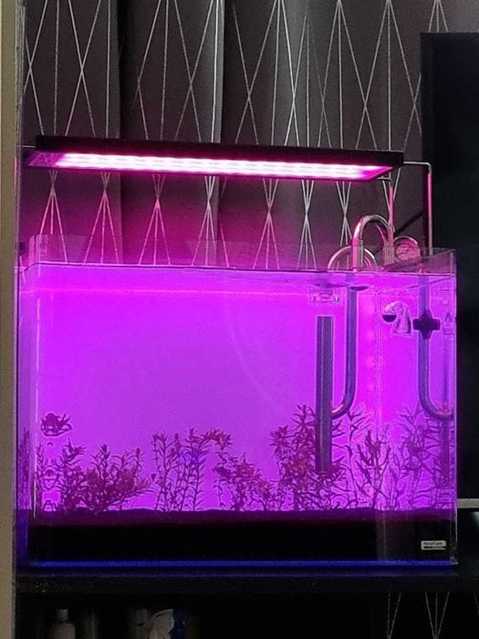 Acvariu 70L utilat, filtru, lampa Chihiros