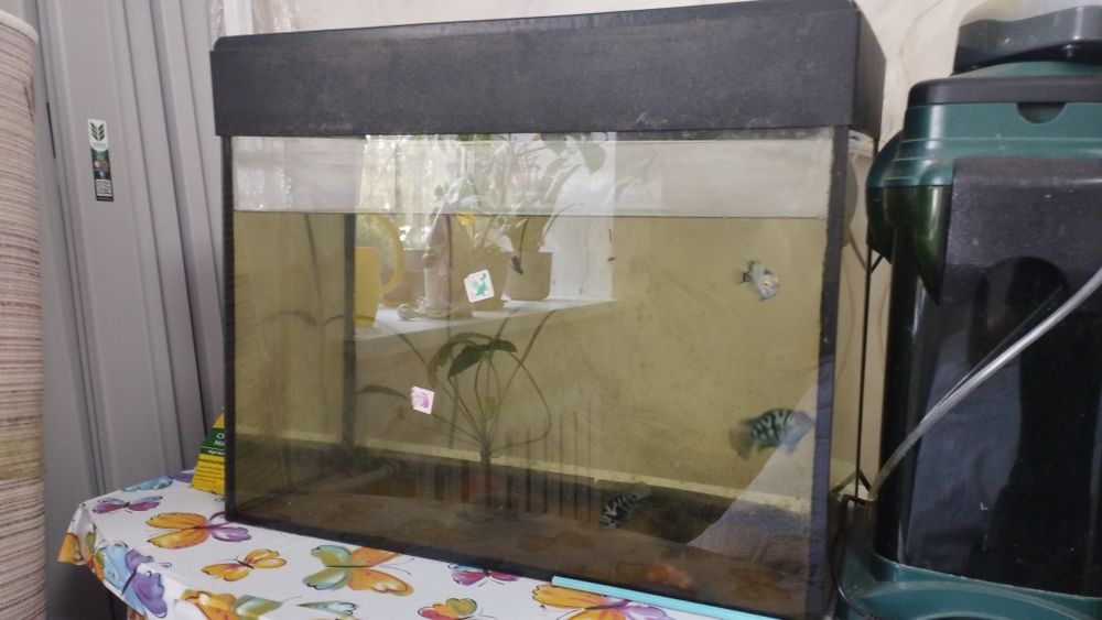 Продам Аквариум 50л