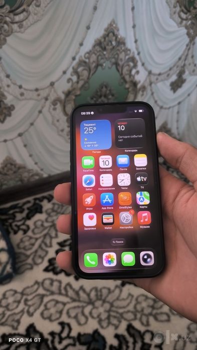 Iphone 13 pro ideal