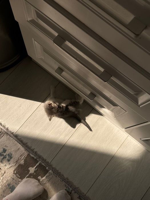 продам свою девушку