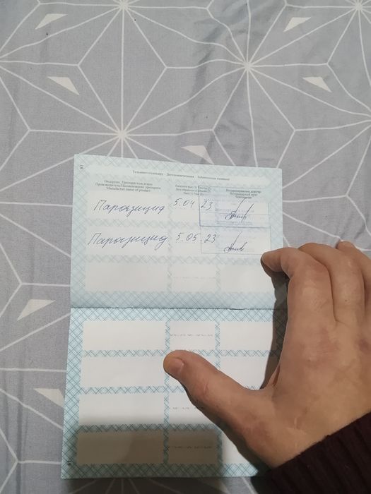 Продам французский бульдог