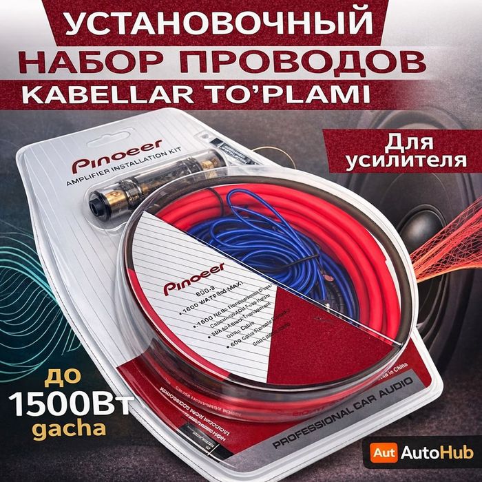 Tyulpan   Karlre  , Pioneer, Amplifier