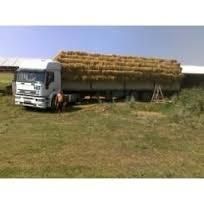 Baloti de paie de grau sau orzoaica