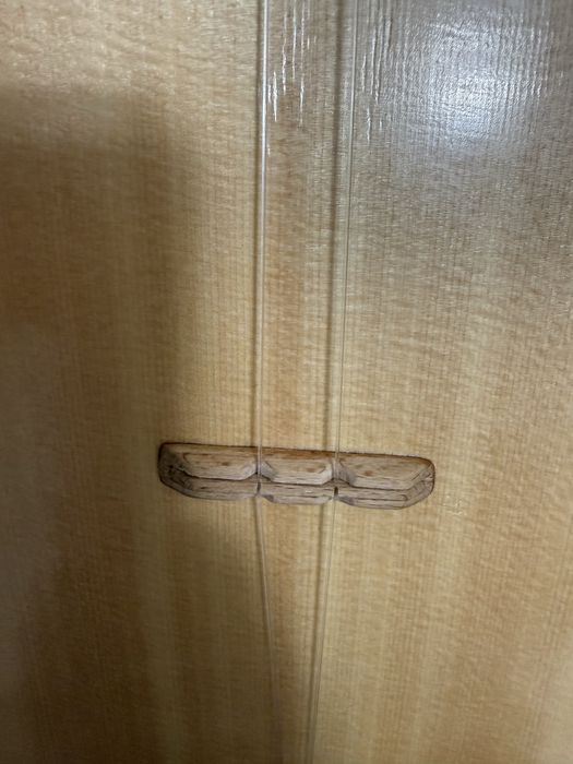 Домбыра проф. Усилителем