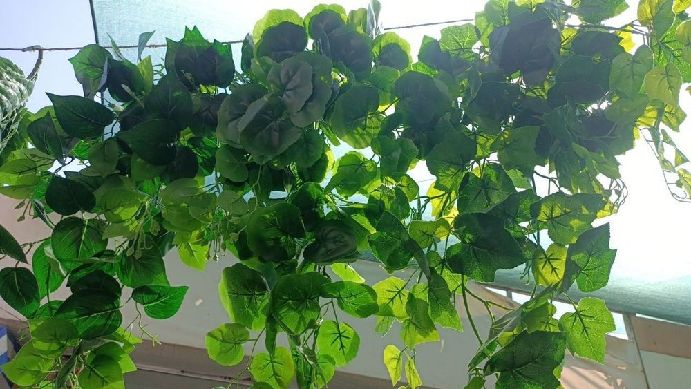 Искусственная виноградная лаза, плющ свисающий
