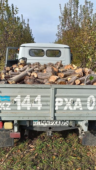 дрова  карагач яблоня