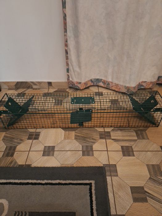 Cusca de prins soareci, sobolani, dijori