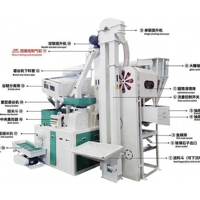 Sholi tegirmon risorushqa