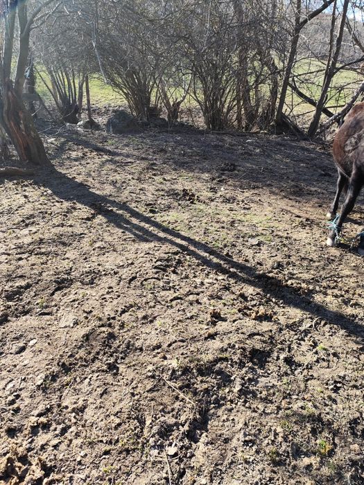 Продава се Парцел в с. Бачево, Област Благоевград - 700 кв.м за 22 €/кв.м - Снимка #4