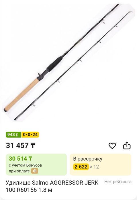 Удилище штекерное Salmo Aggressor Jerk 100