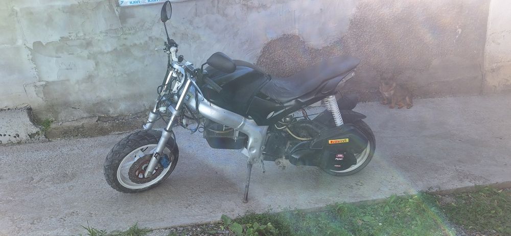 Peda Hornet v2 2012
