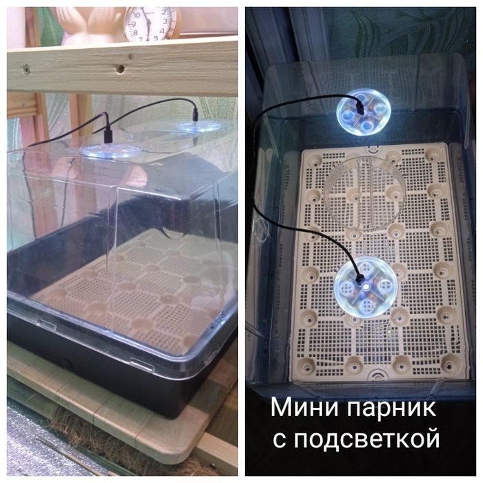 Мини парник с подсветкой