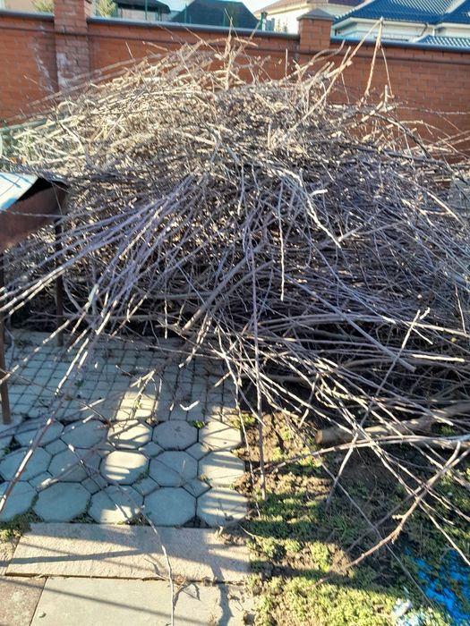 Отдам дрова бесплатно