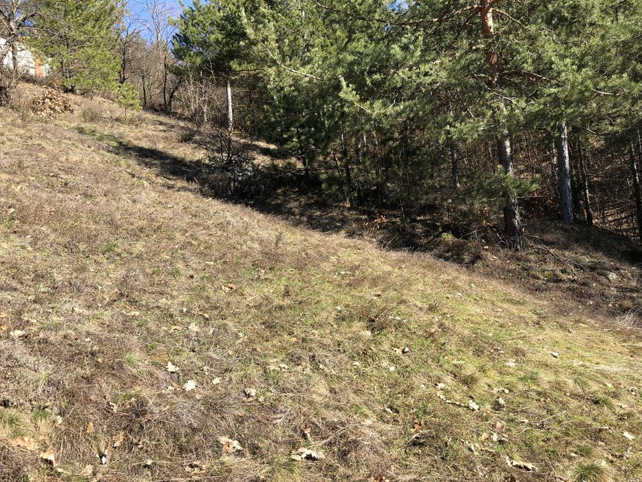 Продава се Парцел в с. Луково, Област София-област - 840 кв.м за 28 €/кв.м - Снимка #11