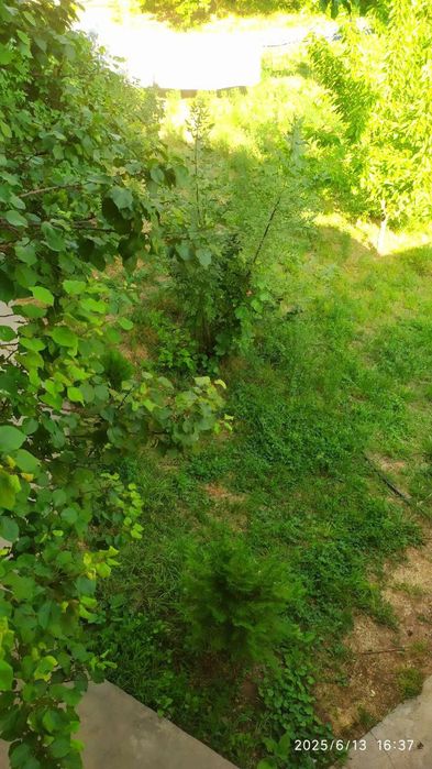 Дача без маклера