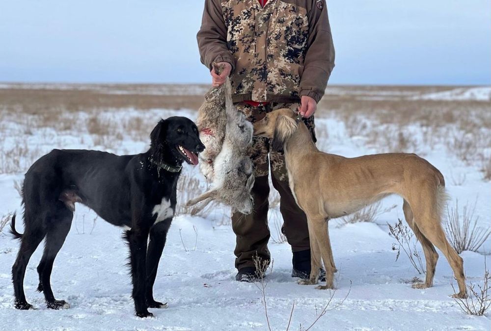 Тазы сатылады / продаётся