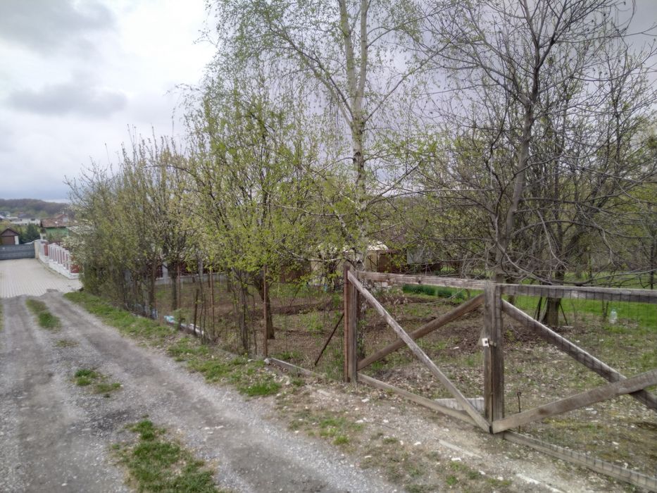 Teren intravilan Salicea