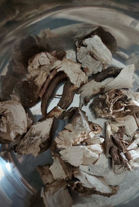 Корень подсолнуха/подсолнечника