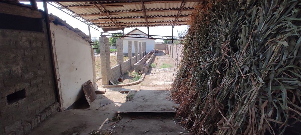 10 сотих участка сотилади ортасарой