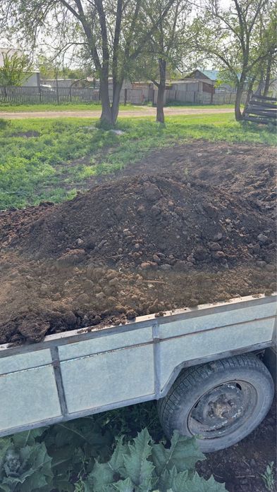 Продам навоз чистый
