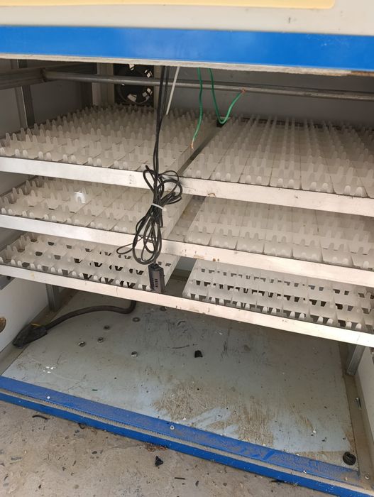 Inkubator sotiladi 600talik