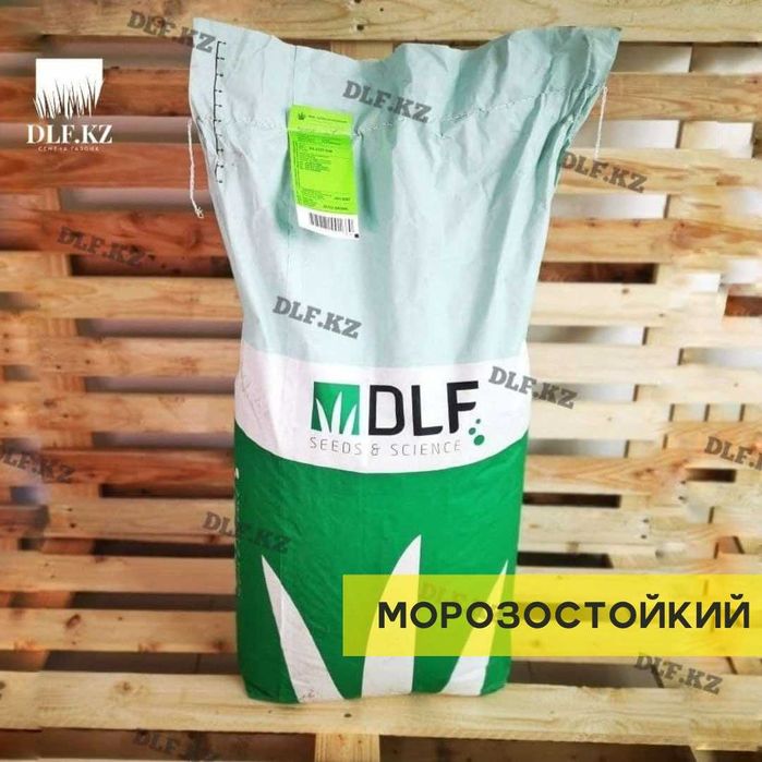 Газон в Астане: 3 вида (все в наличии)