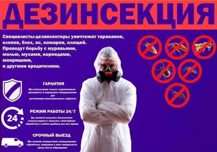 Dezinfeksiya, дезинфекция клопов тараканов, dizinfeksiya klapa tarakan