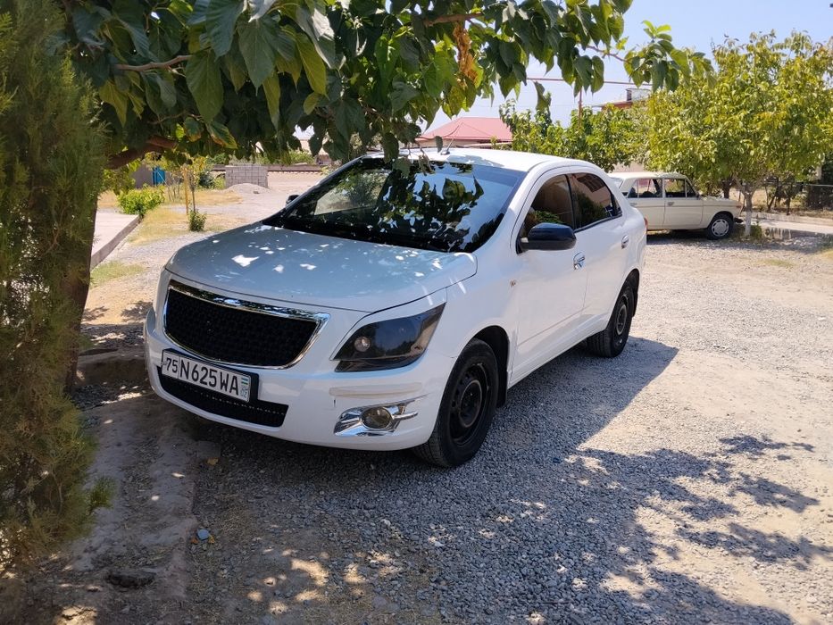 Cobalt 2019 Ravon