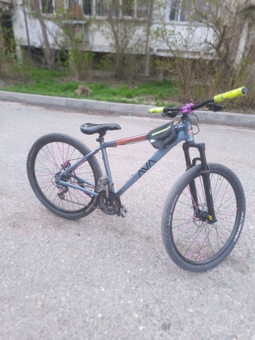 Велик ава күшты аелик