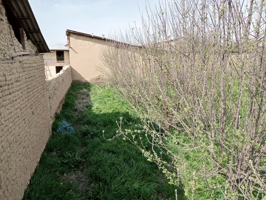 Keles Abduraxmonov yolida Yer sotiladi 8 sotix