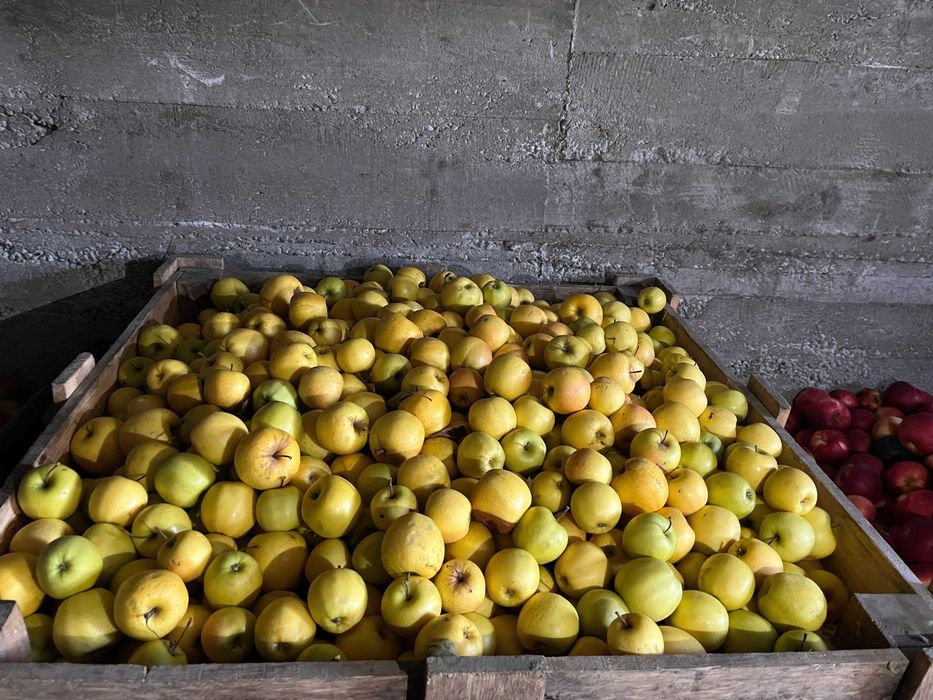 Vand mere diverse soiuri