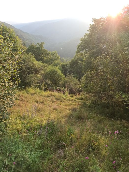 Продава се Парцел в с. Свидня, Област София-област - 800 кв.м за 6 €/кв.м - Снимка #3