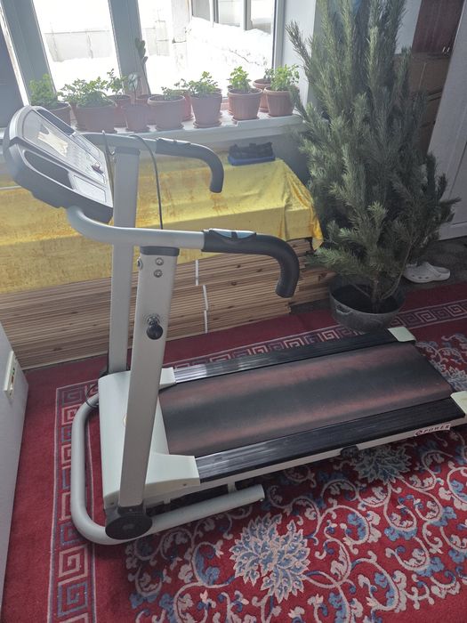 Беговая дорожка.