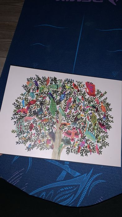 Huion серия Kamvas