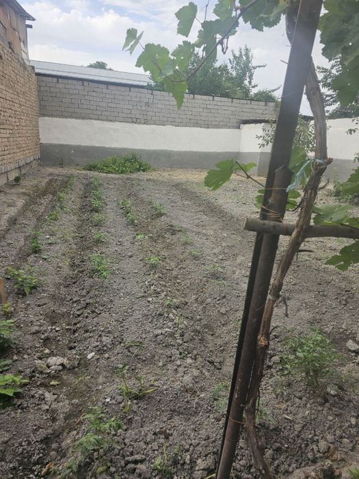 Uy hovli sotiladi 25.000 min kelishamiz