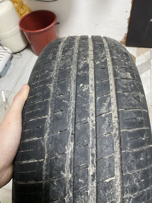 Продам ризина р16