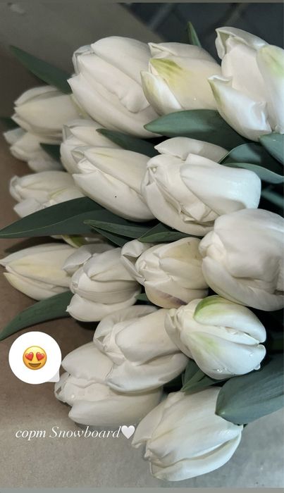 Тюльпаны оптом и в розницу