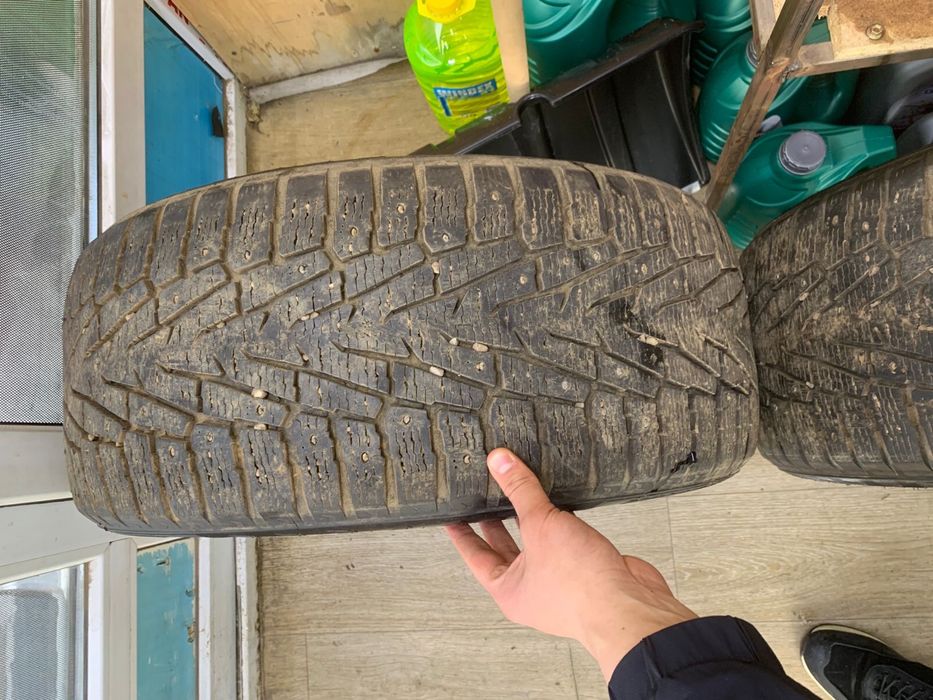 Продам шина зимний шипованные