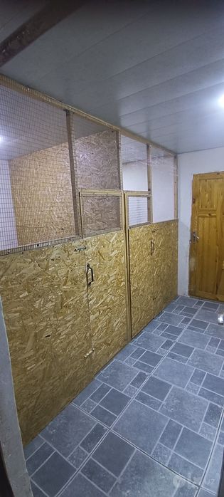 Передержка домашних питомцев ,к каждому хвостику индивидуальный подход