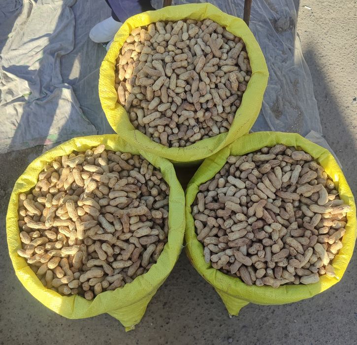 Yer yong'oq sotiladi