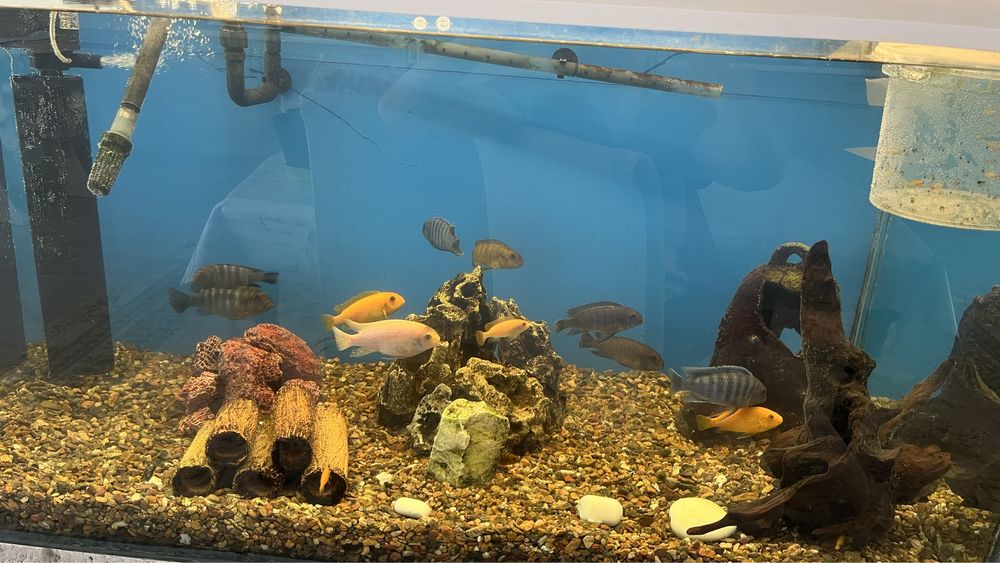 Продам Аквариум 400л