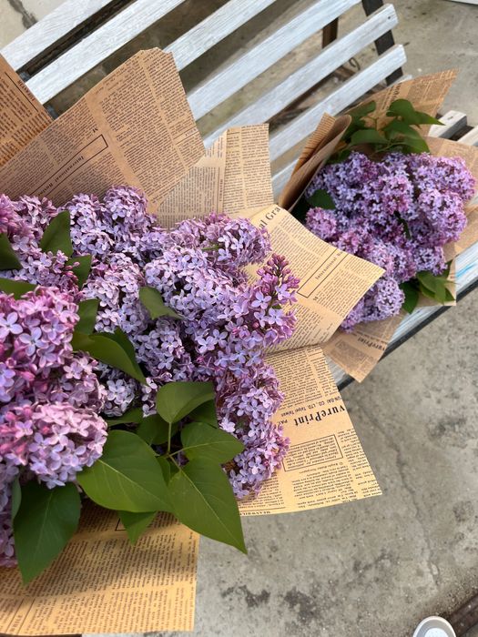 Сирень свежие продаются